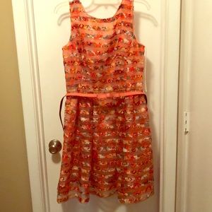 Danny and Nicole dress